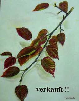 Bild Jens Traub: Bltter